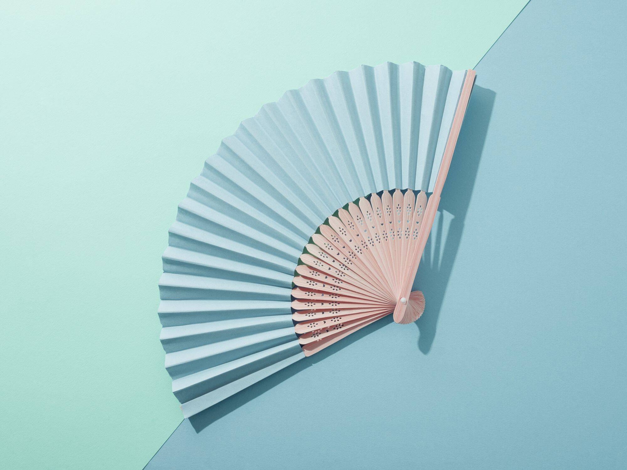 Immagine: ventaglio